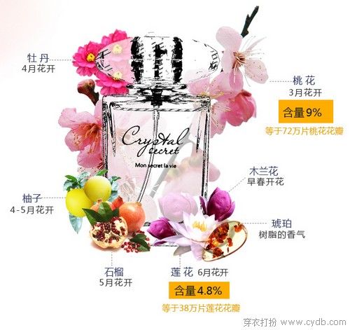 岁月留香，青春的独家记忆